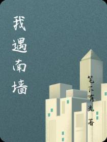 我遇南墙