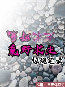 荒野求生惊魂笔录