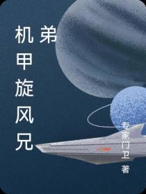 机甲旋风兄弟