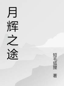 月辉之途