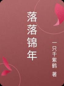 落落锦年