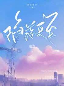 陷落夏至