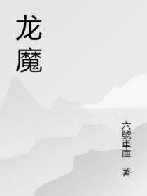 九天龙魔
