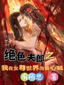 绝色夫郎之我在女尊世界当偷心贼