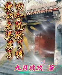 四合院：抢了棒梗的老婆房子