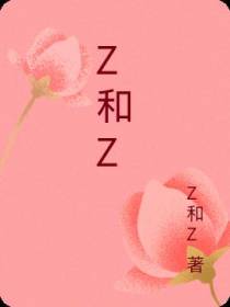 Z和Z