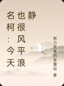 名柯：今天也很风平浪静