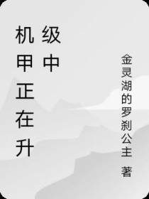 机甲正在升级中