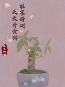 谁家好树天天开会啊