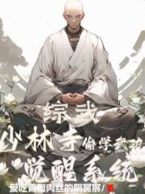 综武：少林寺偷学武功,觉醒系统
