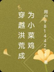 穿越洪荒成为小菜鸡