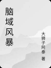 脑域风暴