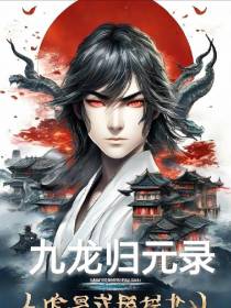 九龙归元录