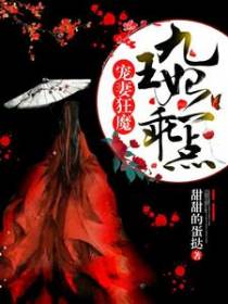 宠妻狂魔：九王妃，乖一点
