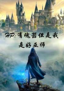HP：有魂器但是我是好巫师