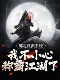绑定反派系统：我不小心称霸江湖了