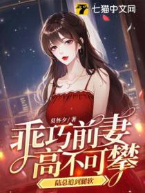 乖巧前妻高不可攀,陆总追到腿软