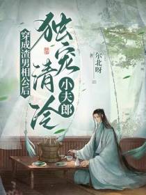 穿成渣男后,独宠清冷小夫郎