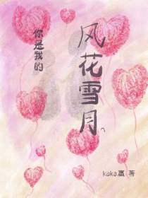 你是我的风花雪月