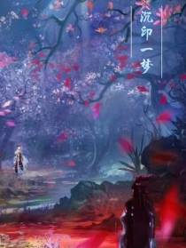 沉印一梦