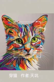 穿猫