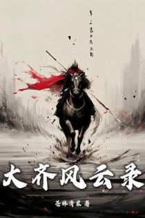大齐风云录