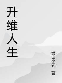 升维人生