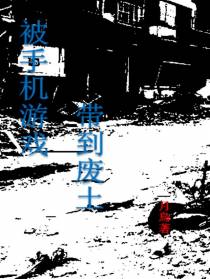 被手机游戏带到废土