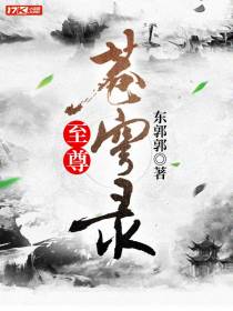 至尊苍穹录