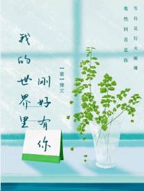 我的世界里刚好有你