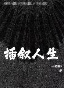 插叙人生