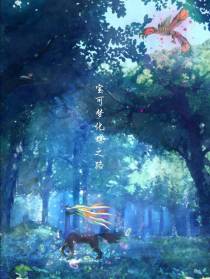 宝可梦化蝶之路