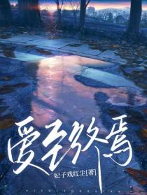 爱至终焉