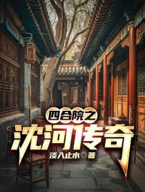 四合院之沈河传奇