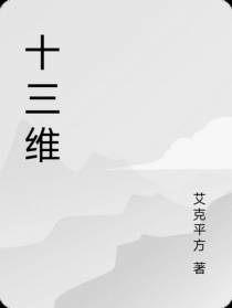 十三维
