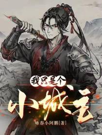 我只是个小城主