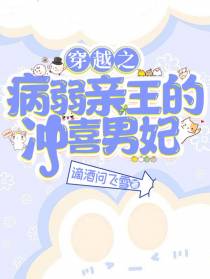 穿越之病弱亲王的冲喜男妃