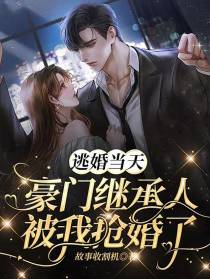 逃婚当天,豪门继承人被我抢婚了