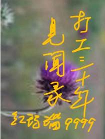 打工三十年见闻录