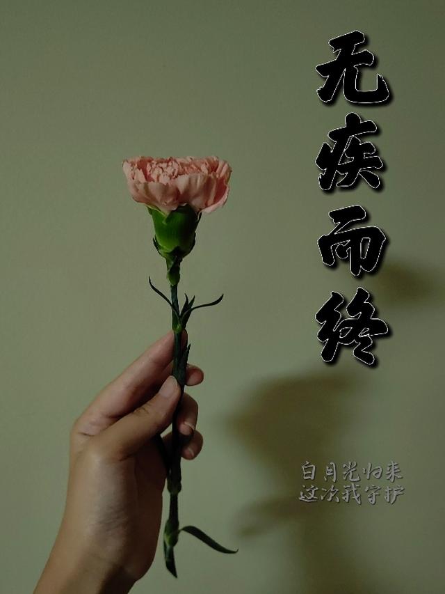 无疾而终：白月光,这次换我守护