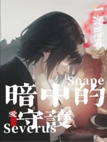 【HP】暗中的守护