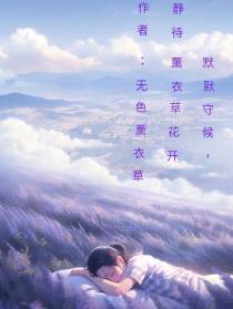 默默守候,静待薰衣草花开