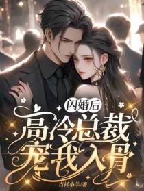 闪婚后,高冷总裁宠我入骨