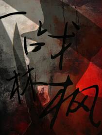 一战林枫