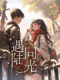 遇陆同光