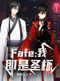 Fate：我,即是圣杯