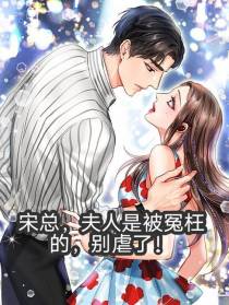 宋总,夫人是被冤枉的,别虐了！