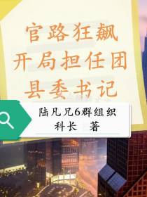 官路狂飙,开局担任团县委书记