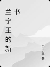 兰宁王的新书