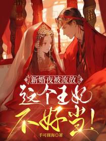 新婚夜被流放？这个王妃不好当